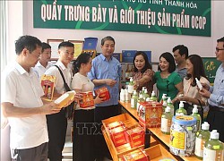 Thanh Hóa: Thêm 38 sản phẩm được xếp hạng OCOP