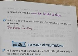 Học sinh tiểu học làm bài tập Tiếng Việt, viết đúng 4 từ mà phụ huynh cười ngất: Con nhà mình lòng dạ sắt đá quá!