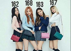 Lí do BLACKPINK luôn bị nghi ngờ "tự dìm" chiều cao