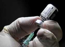 Italy phê duyệt việc tiêm vaccine ngừa COVID-19 cho trẻ 5-11 tuổi