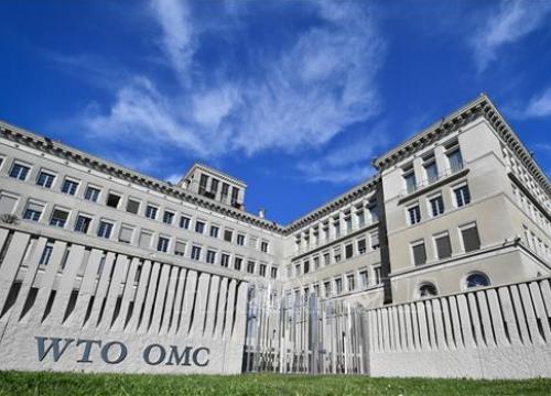 Nhóm thành viên WTO đạt thỏa thuận 'lịch sử' về thương mại dịch vụ