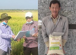 Nông dân miền núi tỉnh Bình Thuận trồng lúa khác người, làm ra thứ gạo nước ngoài cũng muốn ăn