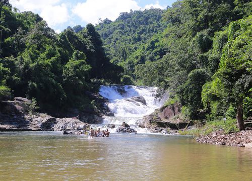 "Tắm rừng" ở Yang Bay