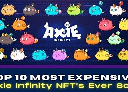 Top 10 Axie Infinity đắt nhất từng được bán (P.1)