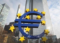 Tỷ lệ lạm phát của Eurozone tăng lên mức cao kỷ lục