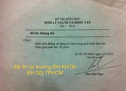 Xuất hiện đề thi chỉ có đúng... 2 CHỮ, đọc đến đâu mồ hôi túa đến đó: Ngó xuống tên người ra đề mới hiểu tại sao