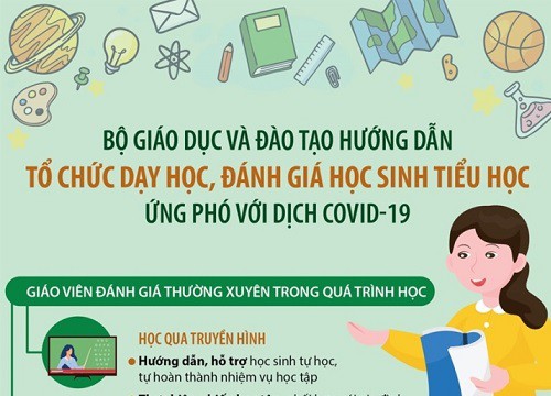 COVID-19: Tổ chức dạy học, đánh giá học sinh tiểu học thế nào?