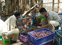 Doanh nghiệp tại TP Hồ Chí Minh thưởng Tết cao nhất gần 1,3 tỷ đồng