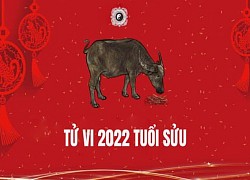 Hé lộ con giáp tài lộc "rủng rỉnh", tình duyên nở rộ trong 4 tháng đầu năm 2022