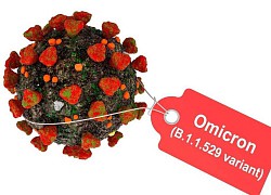 Liệu có thể bị nhiễm Omicron và Delta cùng lúc không?