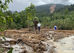 Sạt lở núi Trang Dài ở Bình Định