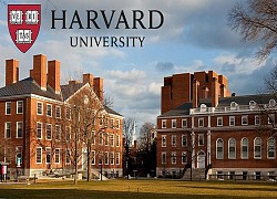 Sinh viên Harvard không thông minh như tưởng tượng: Chỉ cần có 3 chữ "Ệ", dù bạn học kém thì vẫn hiên ngang bước vào trường