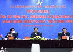 Thủ tướng Phạm Minh Chính dự Hội nghị tổng kết ngành nông nghiệp năm 2021, năm của những kỷ lục mới