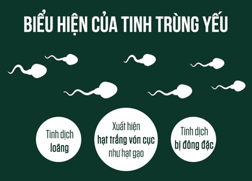 Tinh trùng yếu và thiếu - Cách nhận biết và khắc phục