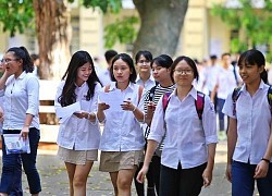 Trường chuyên không phải nơi đào tạo &#039;gà nòi&#039;