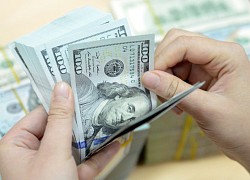 Tỷ giá USD, Euro ngày 30/12: Cuối năm, USD suy yếu