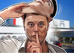 Elon Musk nghĩ rằng mình biết danh tính Satoshi Nakamoto, cha đẻ của Bitcoin