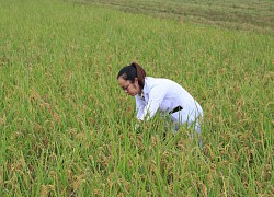 Gỡ khó cho nông dân, Chính phủ ban hành nghị quyết riêng về cấp phép, chứng nhận chất lượng nông sản