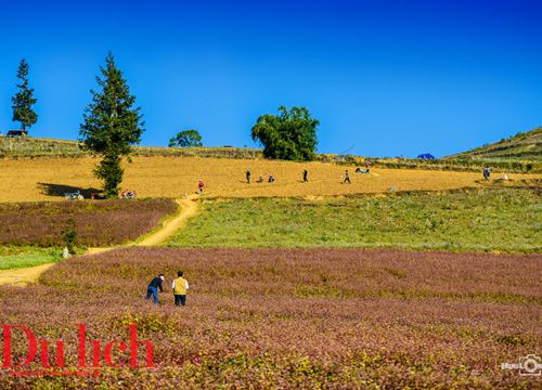 Ngất ngây miền thảo nguyên biên viễn Suôi Thầu