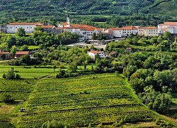 Thung lũng Vipava: Kho báu ẩn tuyệt đẹp của Slovenia