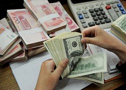 Tỷ giá USD, Euro ngày 31/12: Chốt năm, USD giảm nhanh