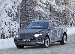 Bentley Bentayga phiên bản kéo dài sắp ra mắt - Đáng để đại gia Việt tham khảo