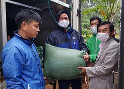 Nuôi cá lóc theo cách này, nông dân Quảng Trị không lo đối phó dịch bệnh, cá khỏe, lớn nhanh