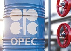 Giá xăng dầu hôm nay 4-12: Giá dầu WTI về mốc dưới 67 USD/thùng, Brent tăng 0,30%