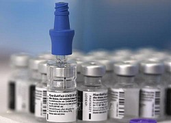 Sự khác biệt giữa vaccine cho trẻ em và vaccine cho người lớn