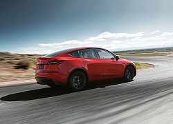 Tesla Model Y bị triệu hồi vì lỗi hệ thống treo