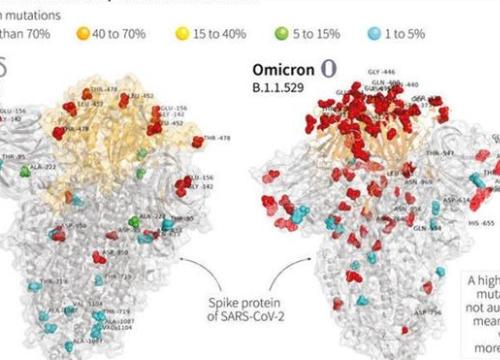 Các nhà nghiên cứu cảnh báo về khả năng dễ lây lan của biến thể Omicron
