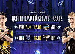 Chi tiết lịch thi đấu playoffs AIC 2021: V Gaming mở màn cùng đại diện Thái Lan