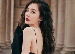 Dương Mịch từng u mê Tạ Đình Phong, nay cho idol “ra chuồng gà” vì 1 người