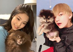 Giữa ồn ào V (BTS) follow Jennie (BLACKPINK), loạt "hint" 2 idol hẹn hò đầy mờ ám bất ngờ rầm rộ khắp MXH