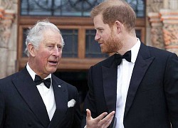 Hoàng tử Harry bị cười chê vì để Meghan "dắt mũi" mà không hay biết gì, mắc sai lầm trầm trọng khó cứu vãn