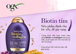 Kết thân với những siêu phẩm dầu gội đầu OGX từ nhà Vogue thì chẳng phải mơ về mái tóc bồng bềnh chắc khỏe nữa