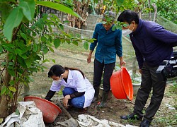 Quảng Bình lo ngại bùng phát sốt xuất huyết giữa dịch COVID-19