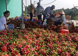 Quyết định bất ngờ của Trung Quốc khiến hàng triệu tấn trái cây của Việt Nam gặp khó