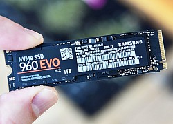 Windows 11 bị tố làm chậm một số máy tính có SSD