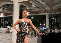 3 đại diện Miss Universe "cân" cả team châu Á: Kim Duyên ngày càng táo bạo, "nữ thần rắn" Ấn Độ liệu có làm nên kỳ tích