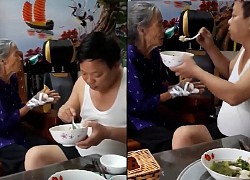 Bón cho mẹ già từng thìa cơm, lời "dỗ dành" của con trai khiến nhiều người chột dạ