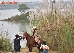 Cuối tuần check-in bãi lau siêu đẹp tại Hà Nội không mất phí