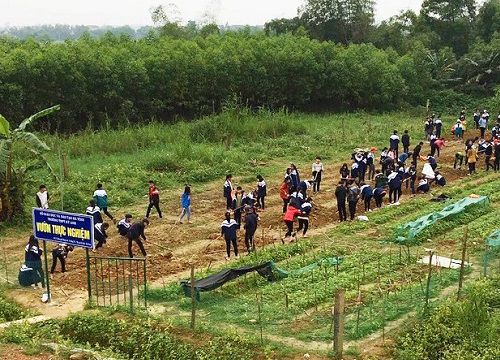 Dạy học từ trải nghiệm thực tế