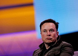 Elon Musk muốn bỏ nghề