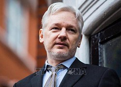 Mỹ kháng cáo thành công phán quyết liên quan nhà sáng lập WikiLeaks