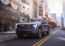 Ford tạm dừng bán mẫu F-150 Lightning do quá tải đơn đặt hàng