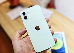 5 lý do khiến iPhone 12 đáng mua hơn vào cuối năm nay