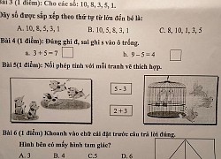 Bà mẹ nhờ dân mạng làm giúp bài Toán lớp 1 của con, tưởng đơn giản, ai ngờ chỉ người IQ cao mới phát hiện ra điều này!