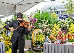 Bên mộ nhạc sĩ Phú Quang, Bùi Công Duy chơi violin bản 'Em ơi Hà Nội phố'