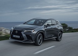 Chi tiết Lexus NX 2022 phiên bản châu Âu